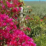 In Gargano - Apartmán *