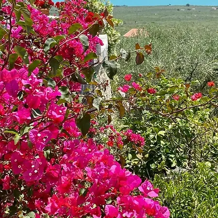 In Gargano - Appartement *