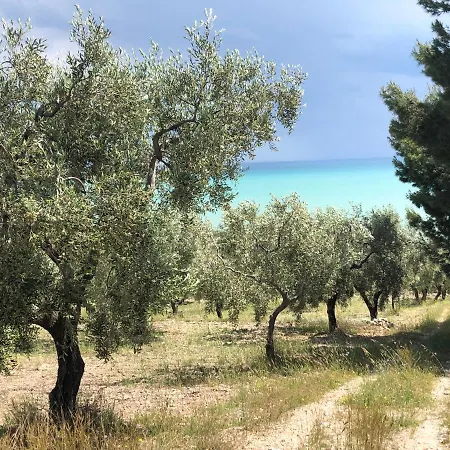 In Gargano - Apartment